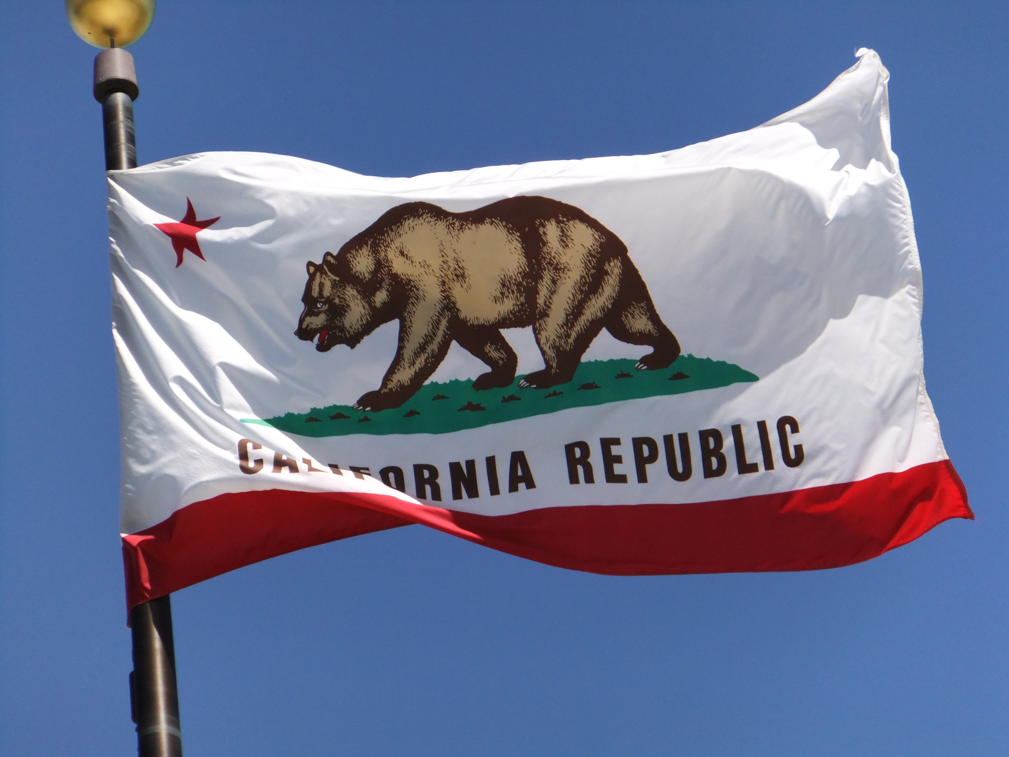 Picture of waving California state flag.