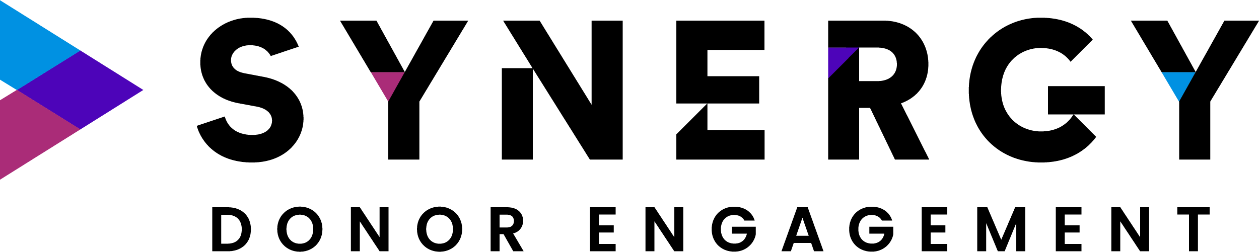 Synergy-Logo-Horz-Donor-Full Color