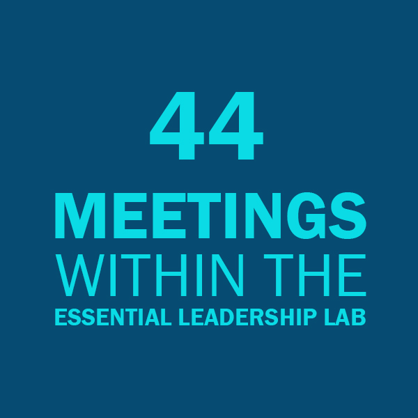 44 Meetings within the Essential Leadership Lab
