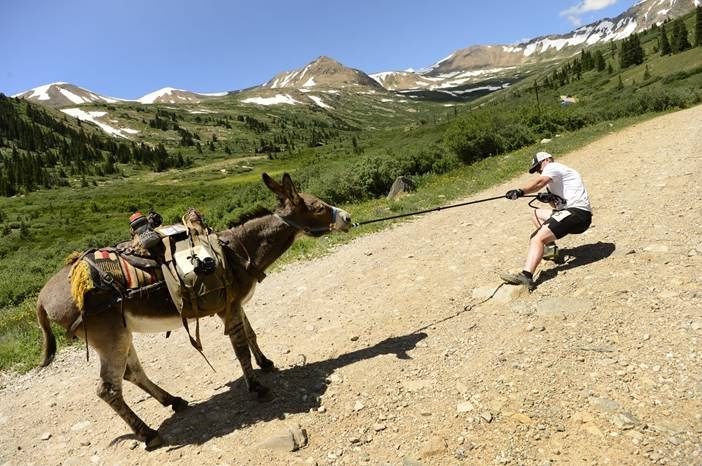 Donkey making it hard for a hiker to lead him